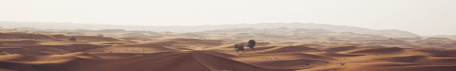 ַ޹˾
